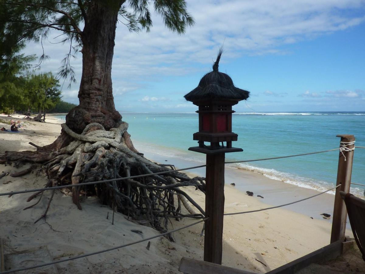 Leu Bleu Austral Hotel แซ็งต์-เลอ ภายนอก รูปภาพ